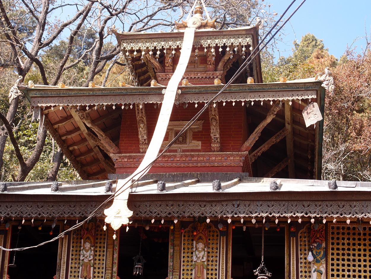 2018-01-23 10 Uhr - Pharping (Audio, Foto, Video) 